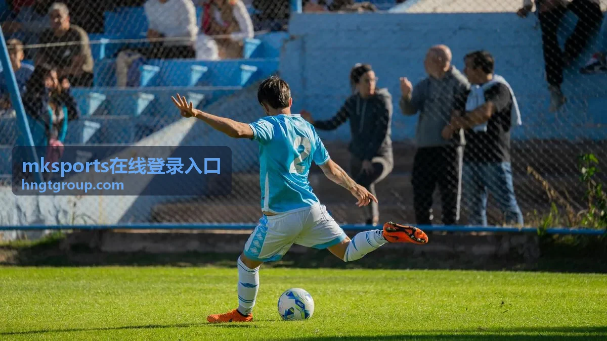 mksports在线登录入口登录状态说明